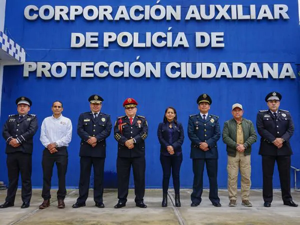 auxiliar