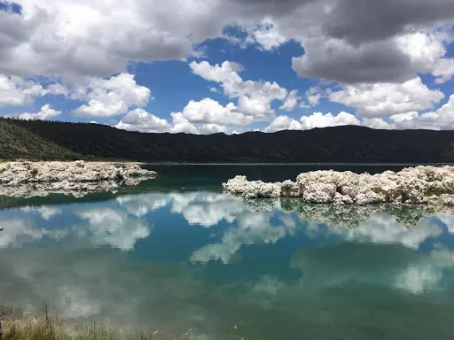 lagunaalchichica impacto.mx