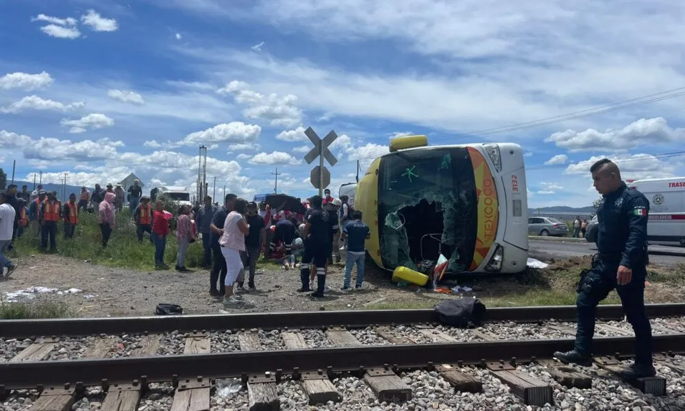 autobús