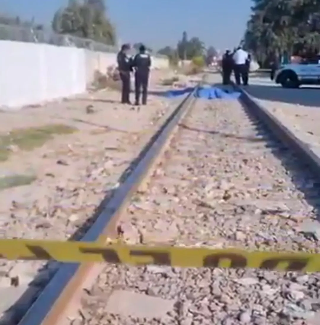 Screenshot_20260214_113434~2