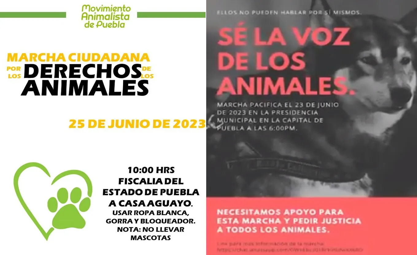 marcha en puebla