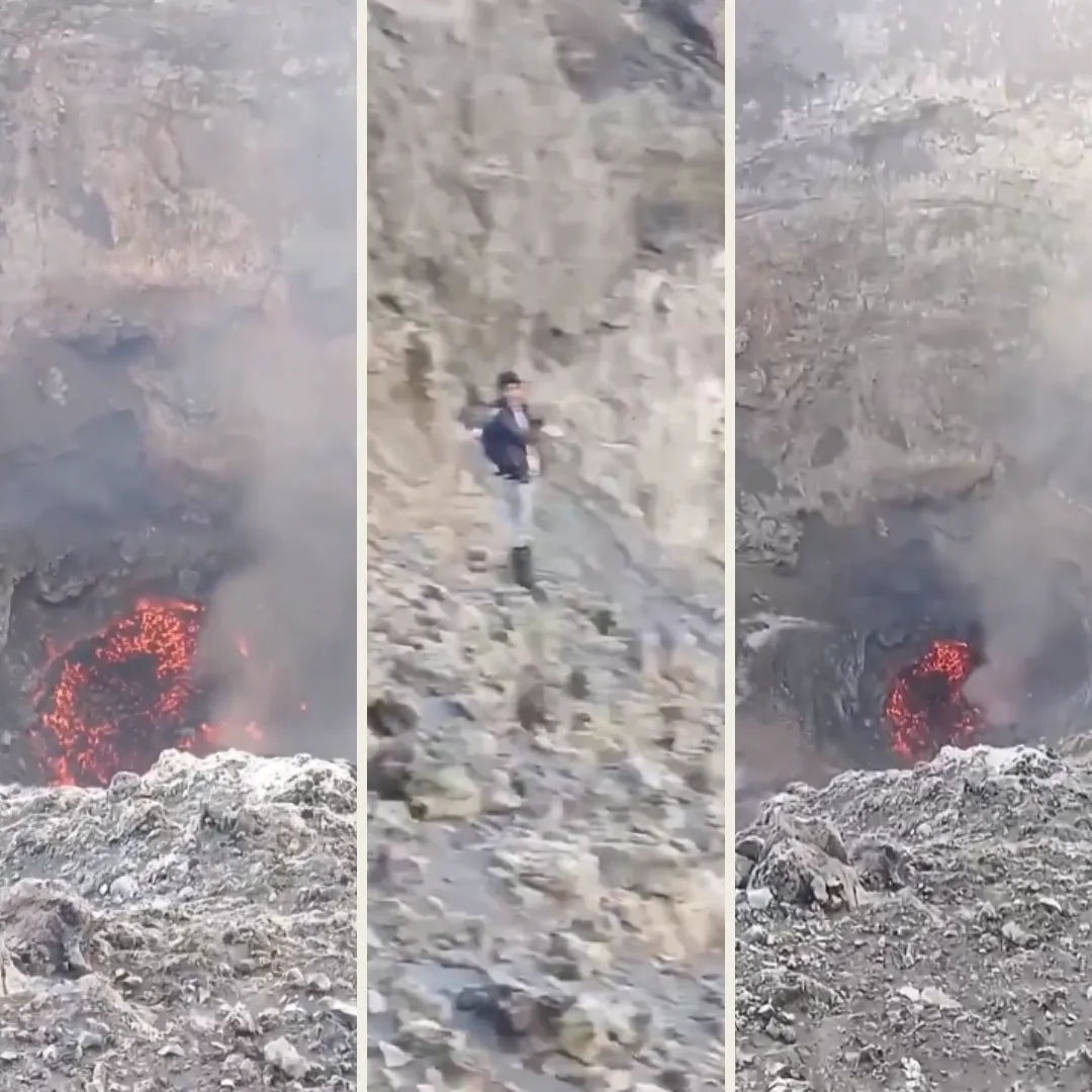 Plantilla Entelequia (8)