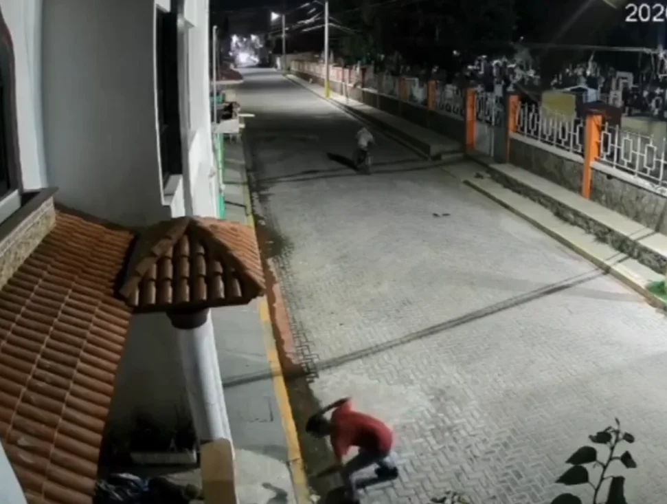 agresión a perro