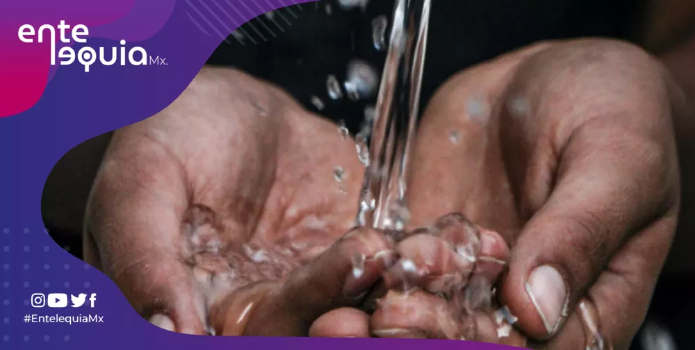 AGUA 202-01