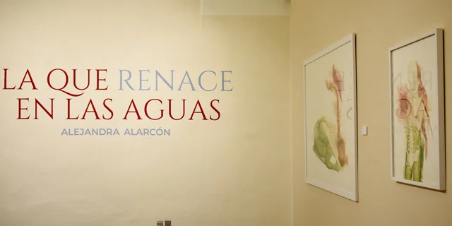 A_Laquerenaceelasaguas