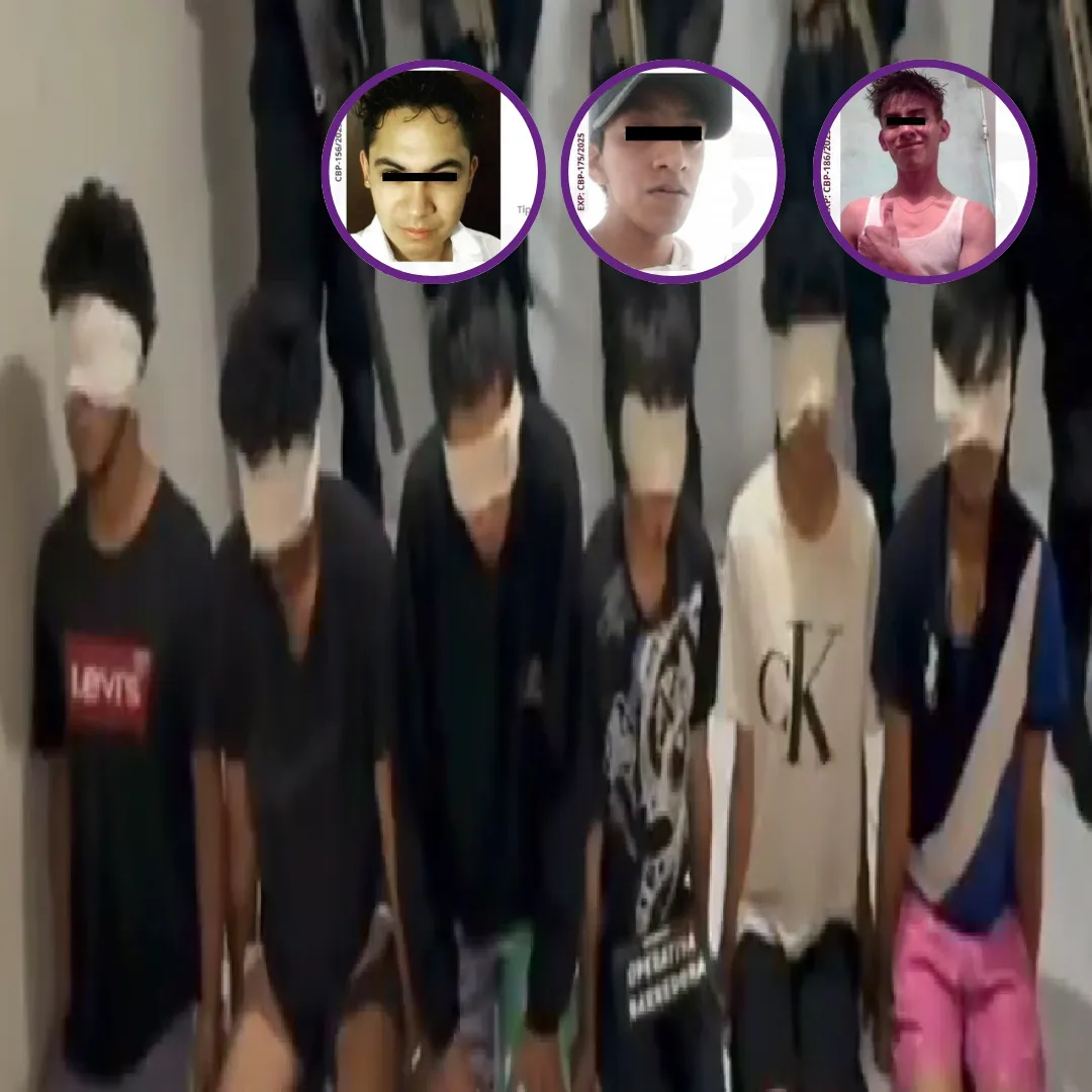 Plantilla Entelequia (4)