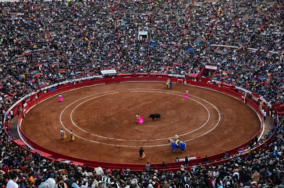 TOROS