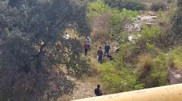 muerta