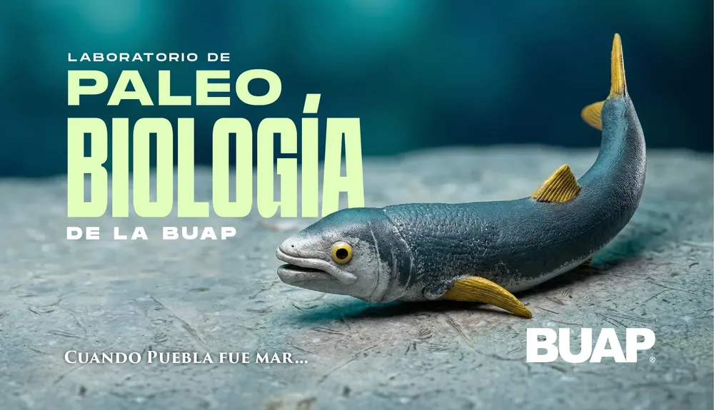 Paleobiología_CARRUSEL-01.jpg