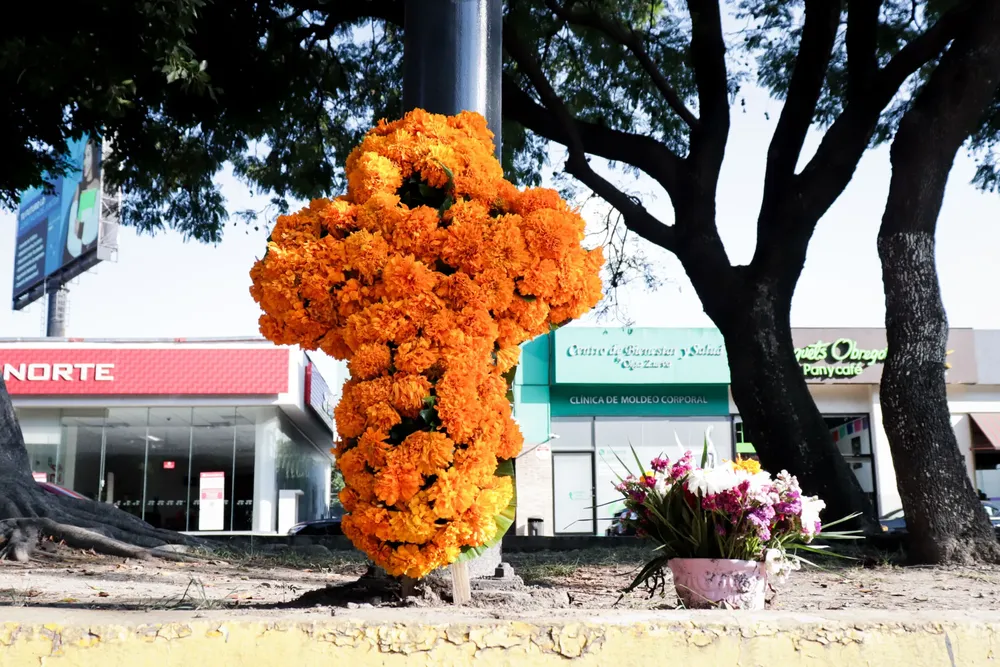 20231029215828_IMG_0043