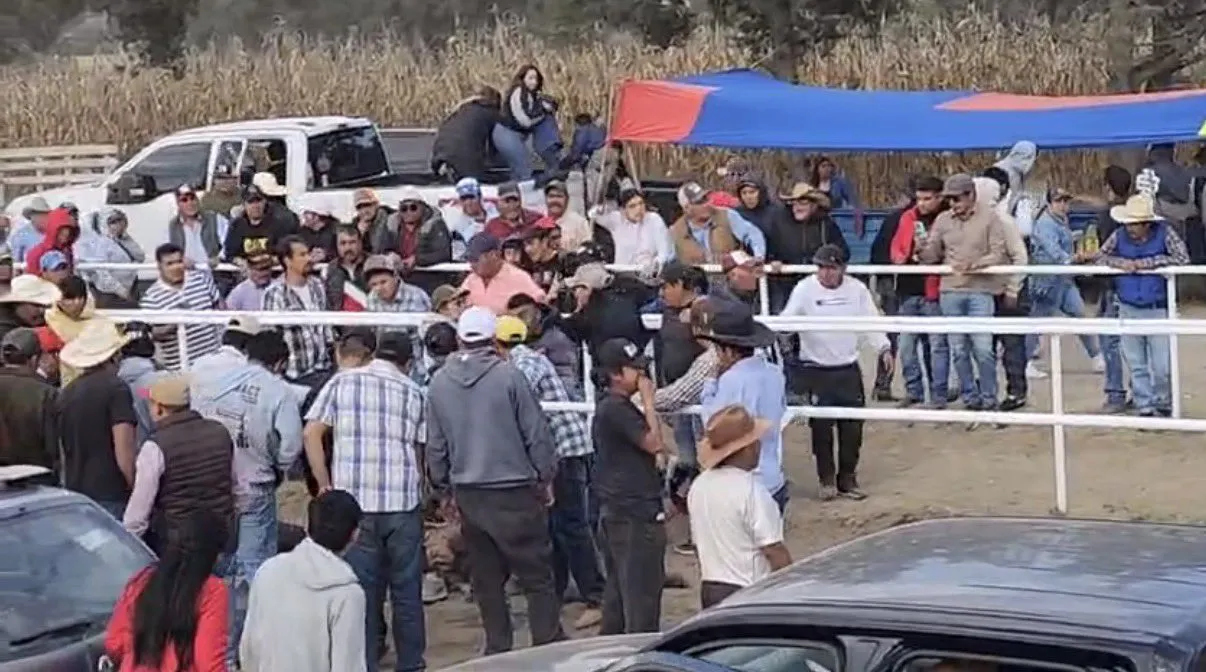 heridos caballo