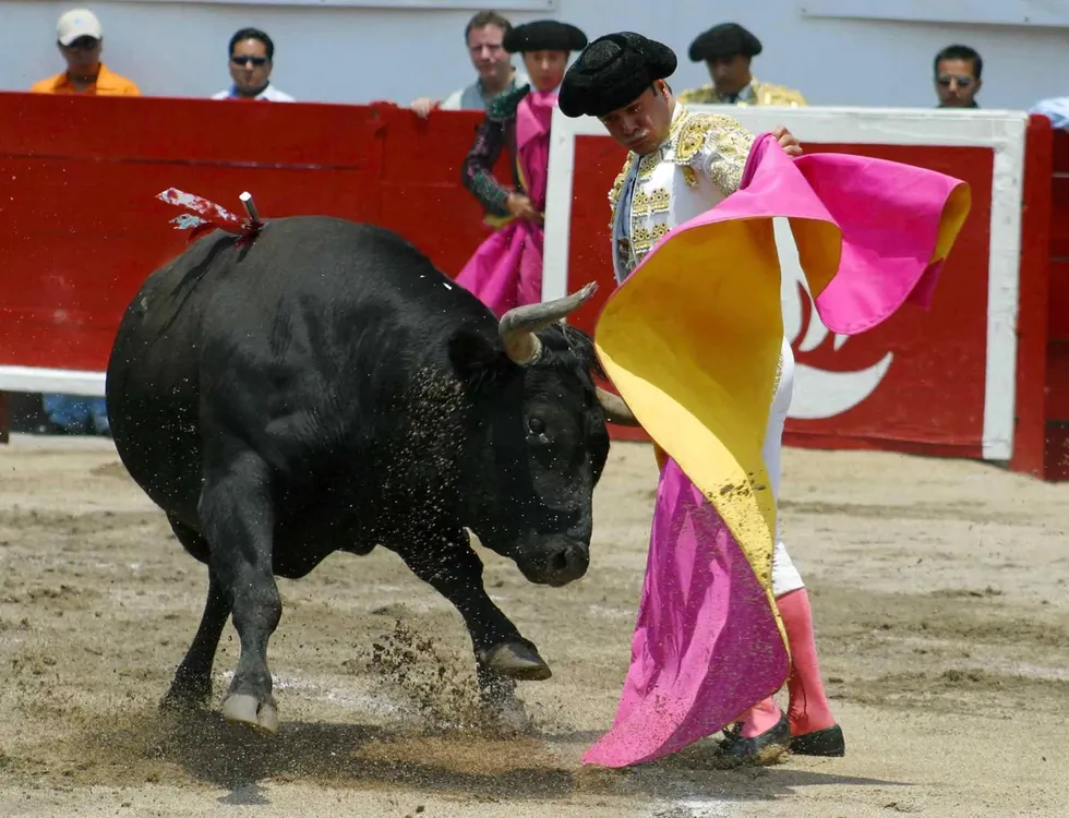toros