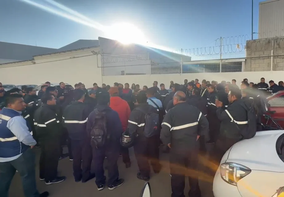 manifestación