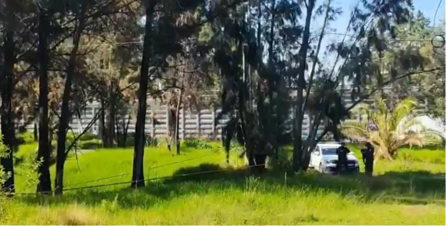 MUERTO
