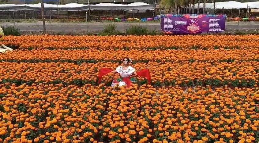Flor