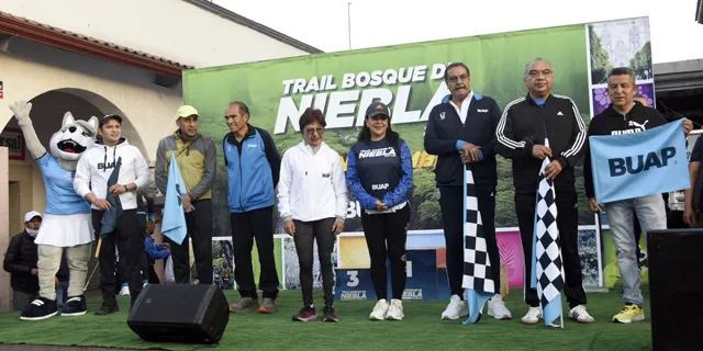 1A_BosquedeNiebla