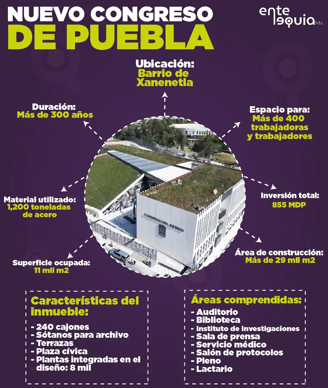 WhatsApp Image 2024-11-19 at 12.14.11 PM