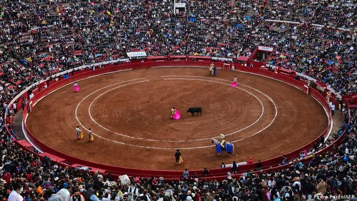toros