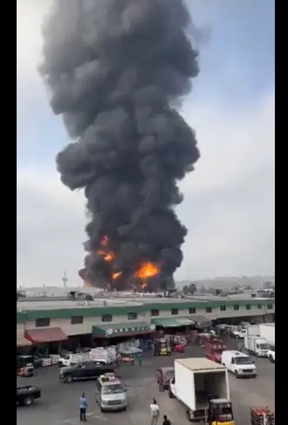 incendio tijuana