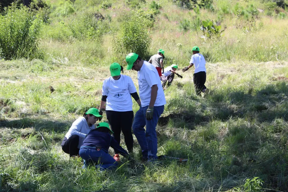 Reforestación_Puebla