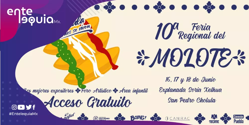 moloteee-01
