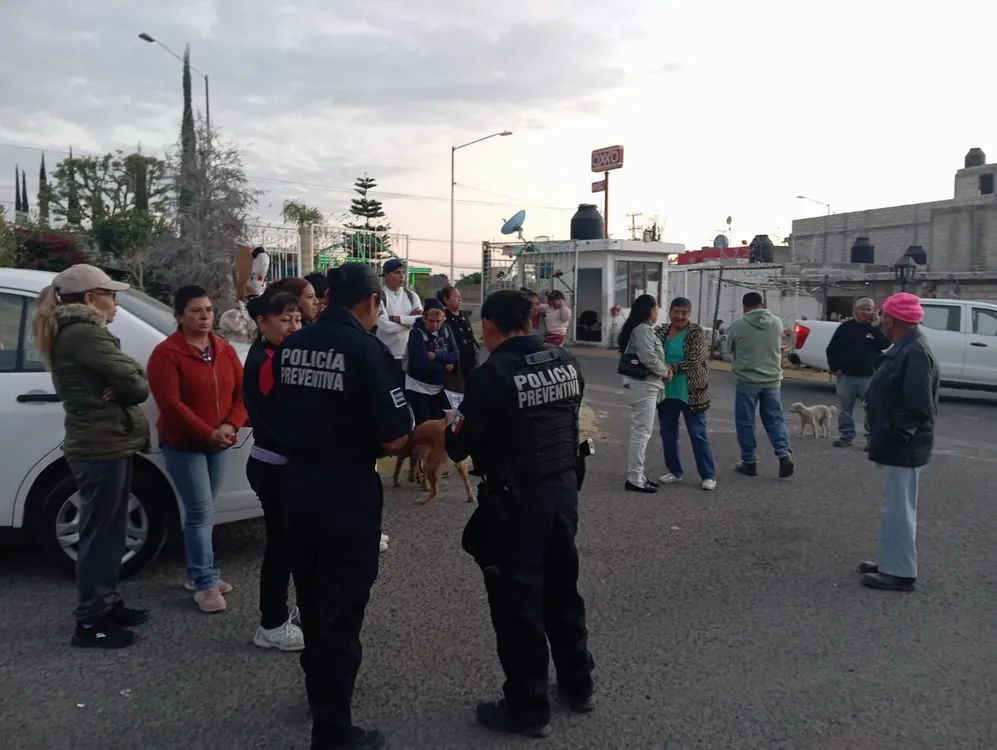 WhatsApp Image 2025-02-20 at 12.50.08 PM