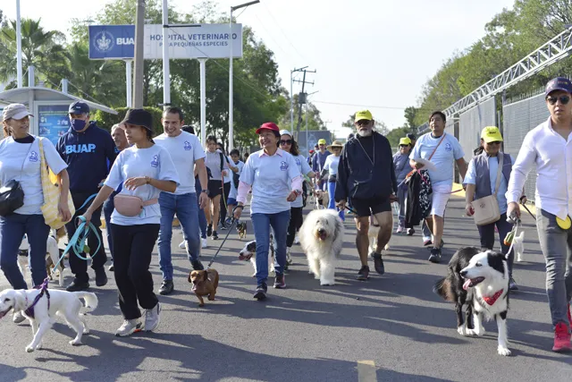 RECORTA DE LA BUAP