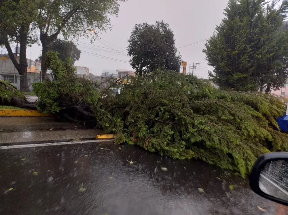 LLUVIA