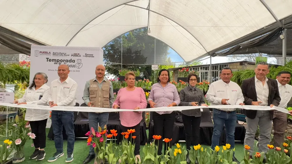 WhatsApp Image 2025-02-20 at 12.56.56 PM