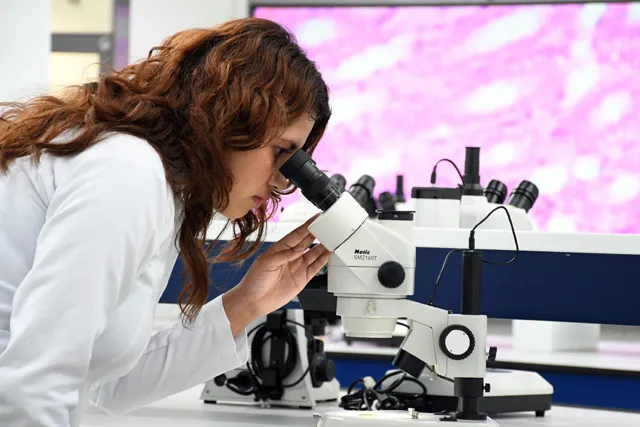 A_LaboratoriosCU2_1