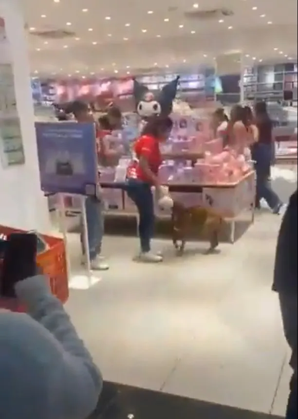 perrito