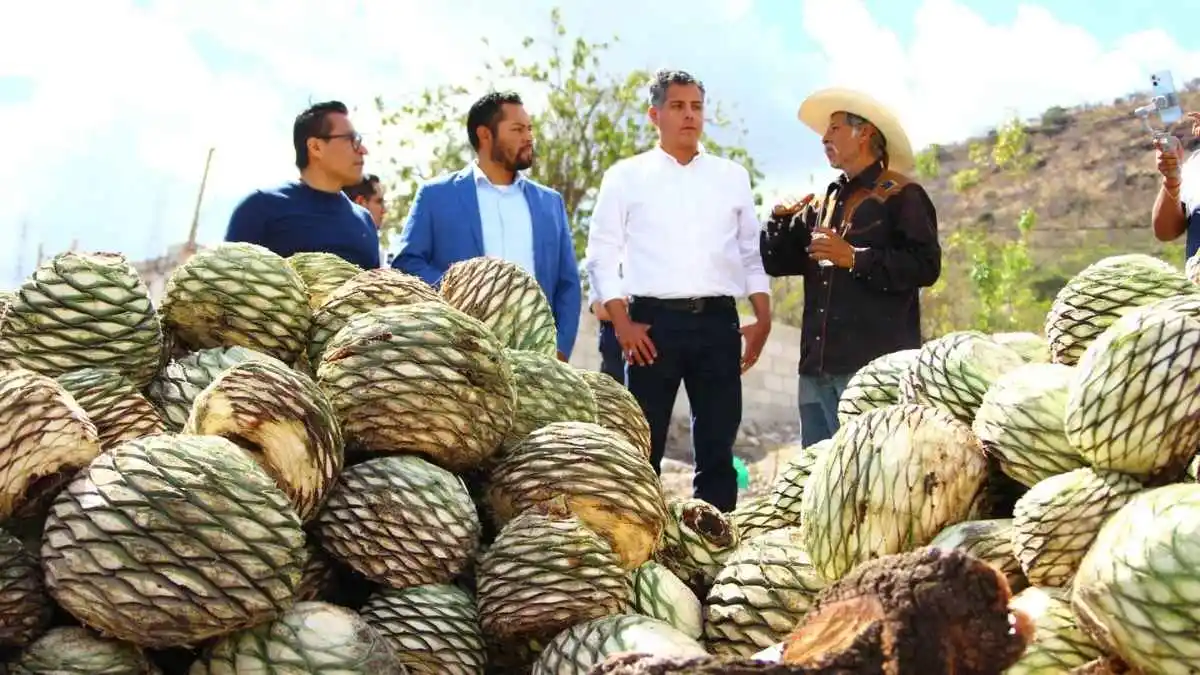 Fortalece-Ayuntamiento-de-Puebla-produccion-de-mezcal-en-Totimehuacan