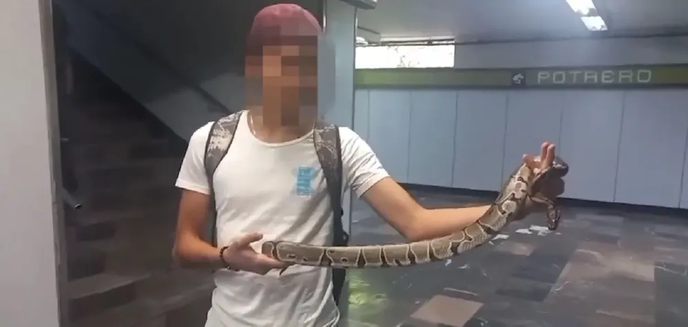 serpiente