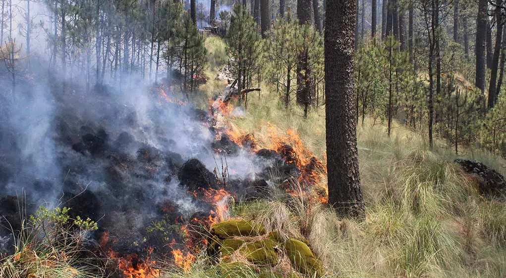 incendios