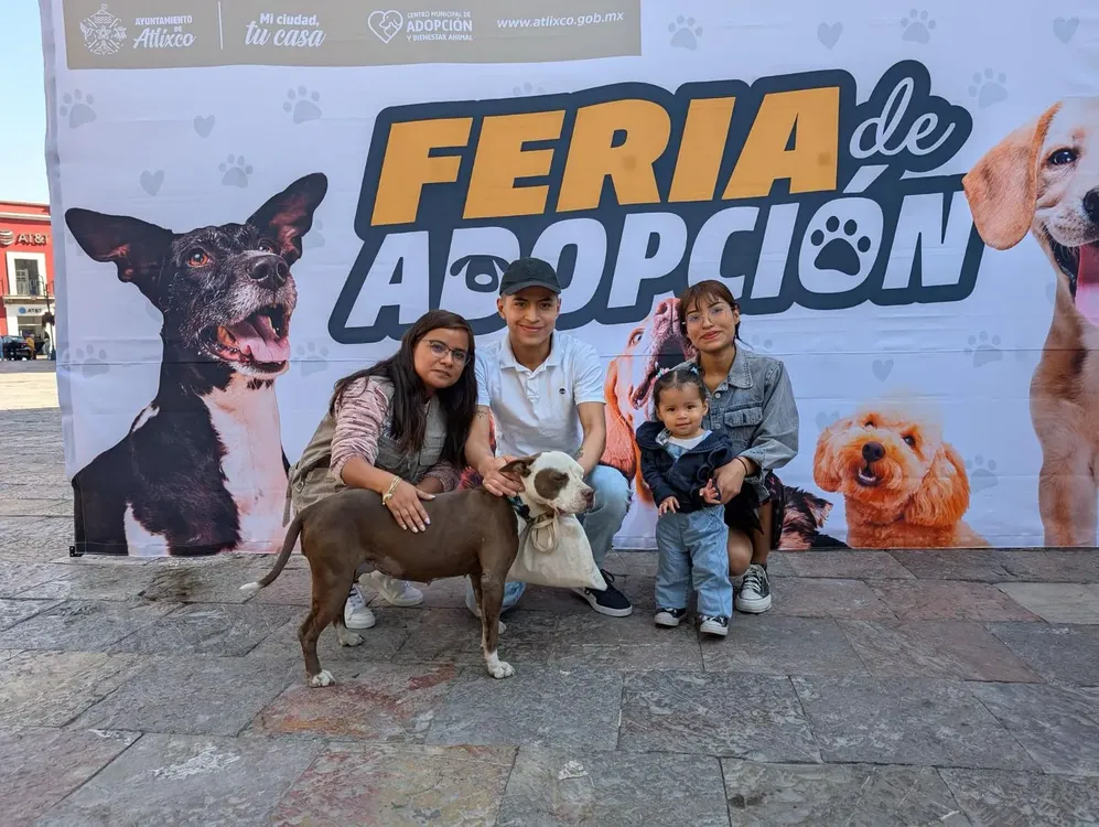 WhatsApp Image 2025-02-20 at 12.57.13 PM