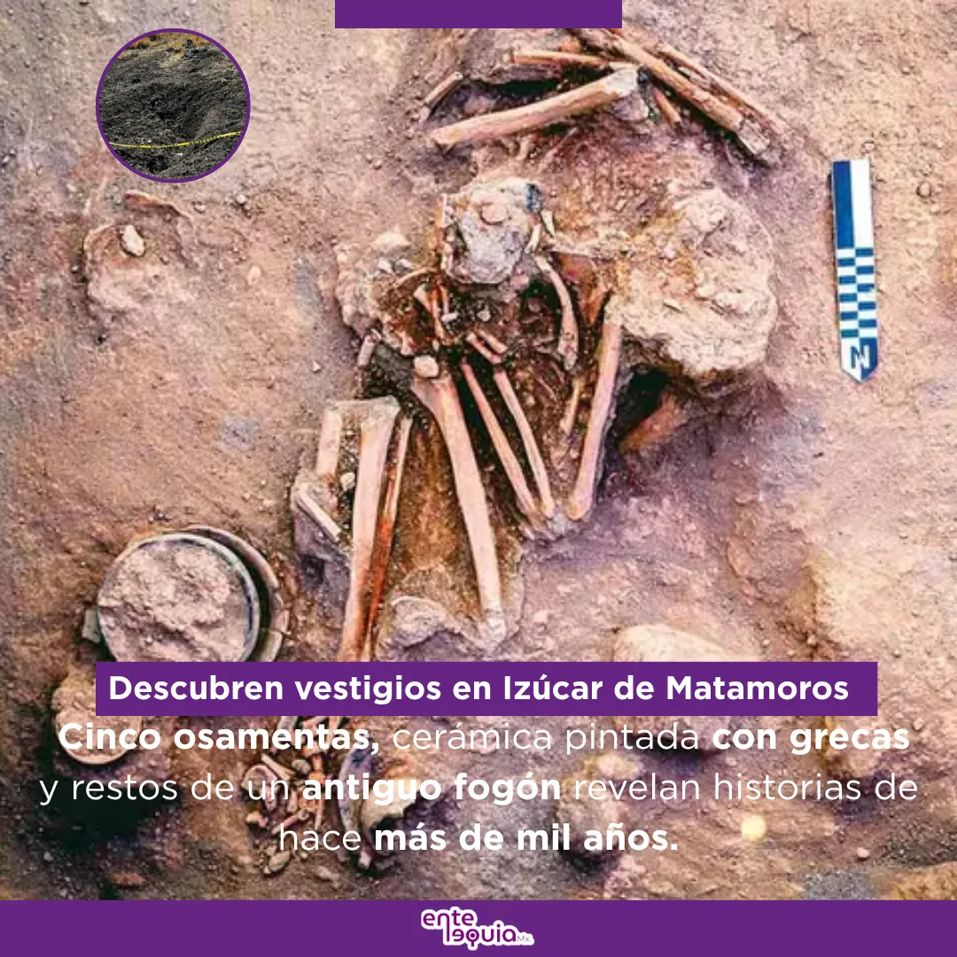 Plantilla Entelequia (29)